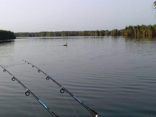 Doar ...  NATURA - 24092011980.jpg